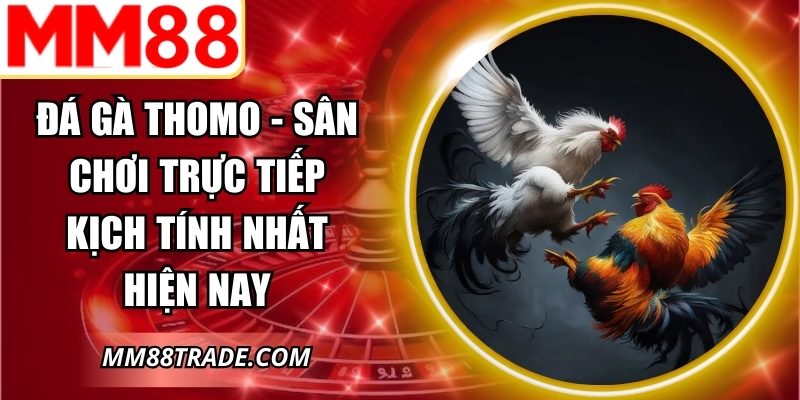 Đá Gà Thomo
