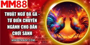 Thuật Ngữ Đá Gà