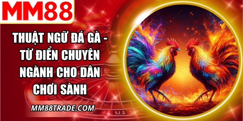 Thuật Ngữ Đá Gà