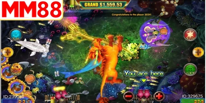 Rủi ro tiềm ẩn khi dùng phần mềm gian lận